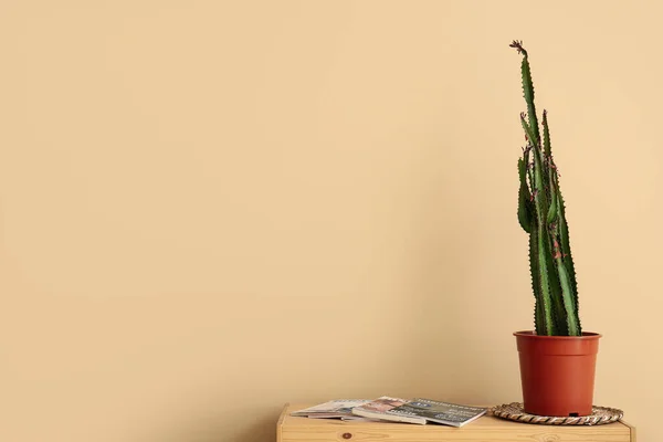 Grüner Kaktus Auf Tisch Neben Beiger Wand — Stockfoto