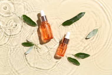 Bottles of essential olive oil and plant leaves in water on color background