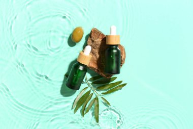 Bottles of essential olive oil, plant branch and stone in water on color background
