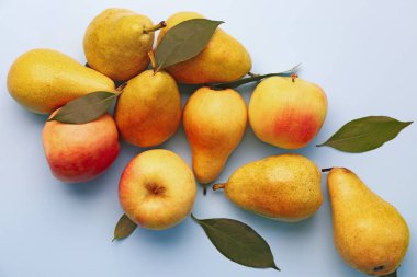 Heap of fresh pears and apples on blue background