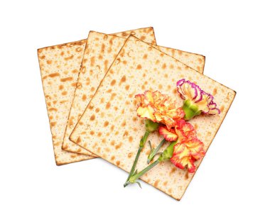 Jewish flatbread matza for Passover and beautiful carnation flowers on white background