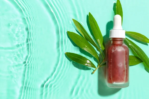 Bottle of olive essential oil and plant branch in water on color background