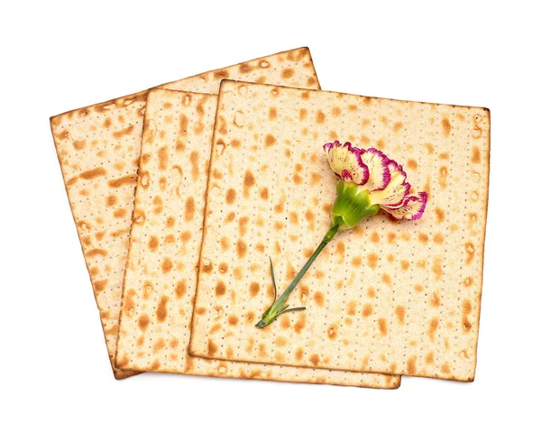 Jewish Flatbread Matza Passover Beautiful Carnation Flower White Background — Φωτογραφία Αρχείου