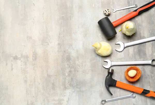 Handyman Tools Chickens Easter Eggs Grunge Background — Stock Fotó