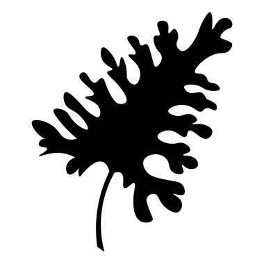 Beyaz arkaplanda tropikal yaprak