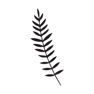 Beyaz arkaplanda tropikal yaprak