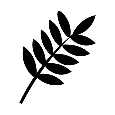 Tropical branch on white background