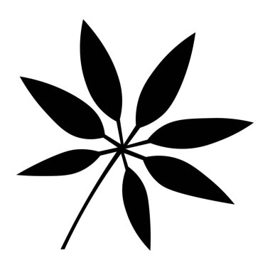 Beyaz arkaplanda tropikal yaprak