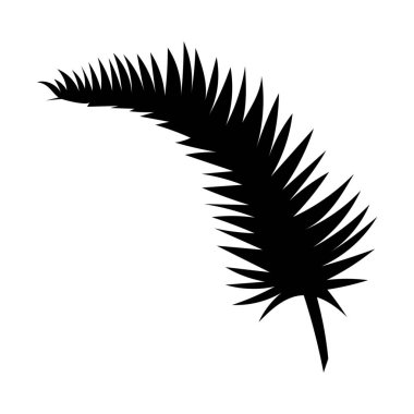 Beyaz arkaplanda tropikal yaprak