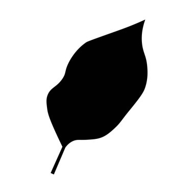 Beyaz arkaplanda tropikal yaprak