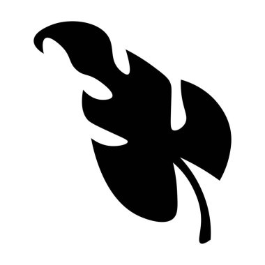 Beyaz arkaplanda tropikal yaprak