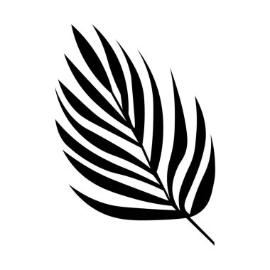 Beyaz arkaplanda tropik palmiye yaprağı