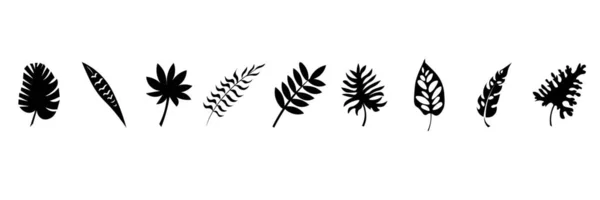 白い背景に異なる熱帯の葉のセット — ストックベクタ