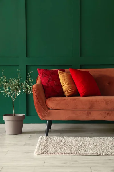 Rotes Sofa Mit Stilvollen Kissen Und Zimmerpflanze Der Nähe Der — Stockfoto