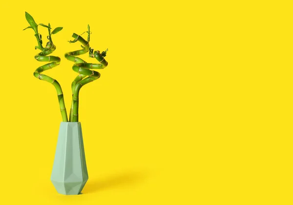 Bamboo Plant Vase Yellow Background — Stock Photo, Image