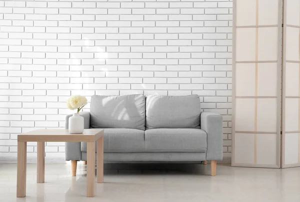 Stylish Grey Sofa Interior Living Room — 스톡 사진