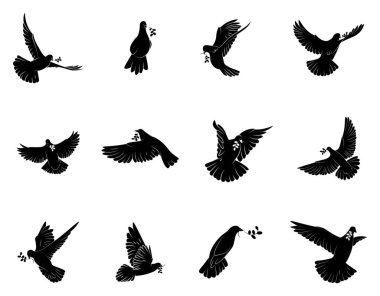 Beyaz arka planda zeytin dalları olan güvercinler. Uluslararası Barış Günü