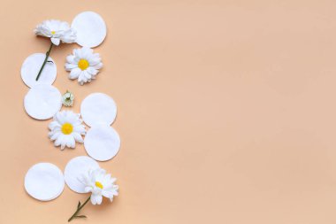 Composition with cotton pads and chamomile flowers on color background