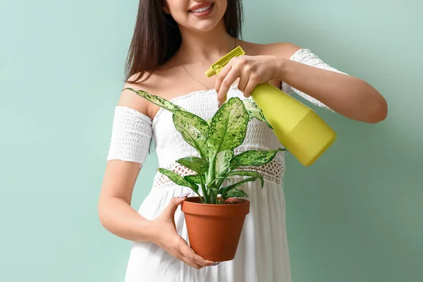 Junge Frau Sprüht Wasser Auf Zimmerpflanze Auf Grünem Hintergrund Nahaufnahme — Stockfoto