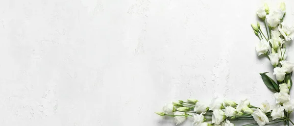 Beautiful Eustoma Flowers Light Background Space Text — Stock Photo, Image