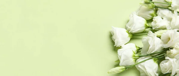 Fehér Eustoma Virágok Zöld Alapon Helyet Szöveges — Stock Fotó