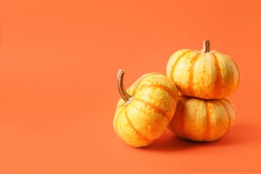 Turuncu arka planda taze balkabakları