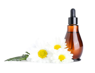 Beyaz arka planda izole edilmiş bir şişe önemli yağ ve papatya çiçeği.