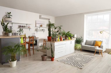 Interior of light kitchen with green houseplants, counters and shelves