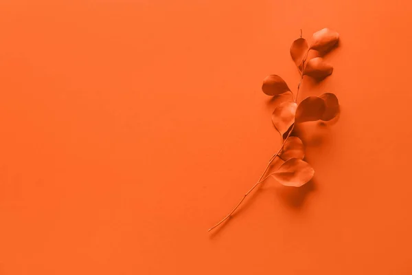 Painted plant branch on orange background