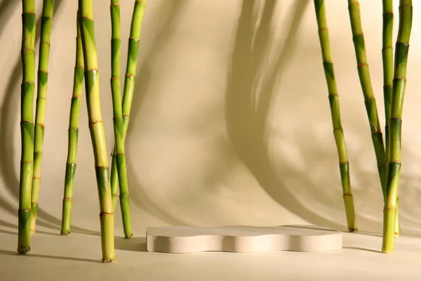 Green Bamboo Stems Plaster Podiums Beige Background —  Fotos de Stock