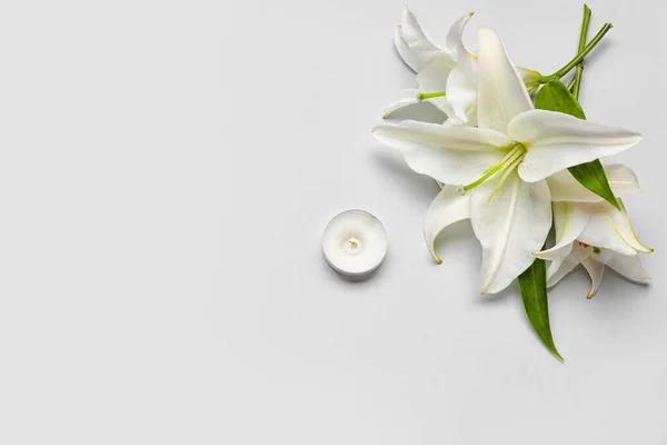 Beyaz Arka Planda Güzel Zambak Çiçekleri Mum — Stok fotoğraf