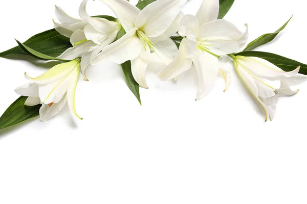 Összetétel Gyönyörű Liliom Virágok Fehér Háttér — Stock Fotó