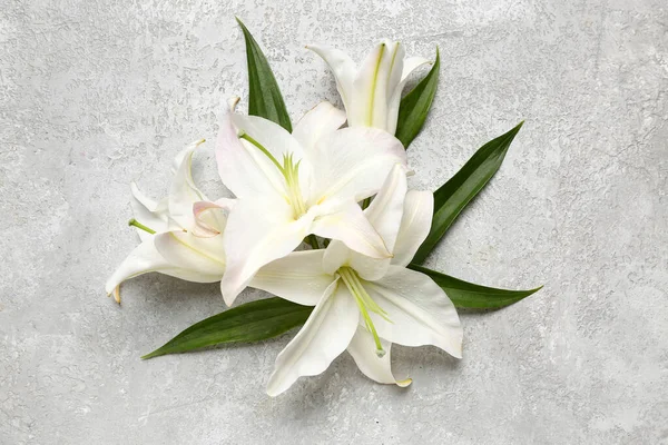Bílé Lilie Květiny Světlém Pozadí — Stock fotografie