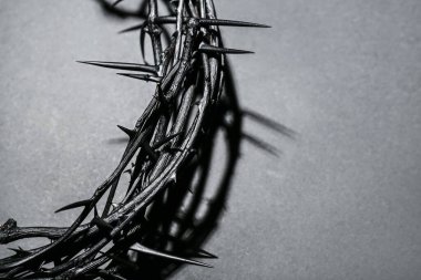 Crown of thorns on dark background, closeup