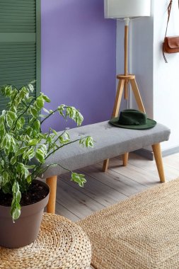 Yumuşak bankları ve lambaları olan şık bir salon.