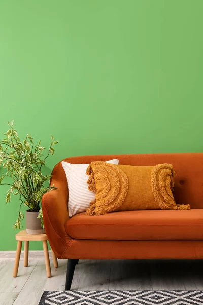 Brown Sofa Cushions Houseplant Green Wall — Stock Photo, Image
