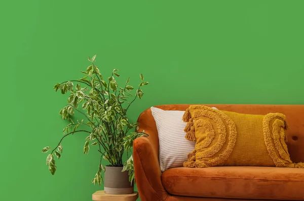 緑の壁の近くのクッションと観葉植物の茶色のソファ — ストック写真