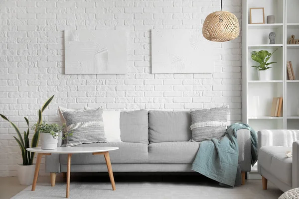 Graue Sofas Mit Kissen Und Zimmerpflanze Auf Dem Tisch Wohnzimmer — Stockfoto
