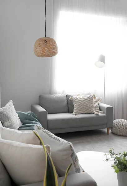 Grey Sofas Cushions Interior Living Room — Stock Photo, Image