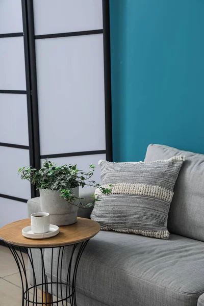 Grey Sofa Cushion Houseplant Table Folding Screen Blue Wall — Stock Photo, Image