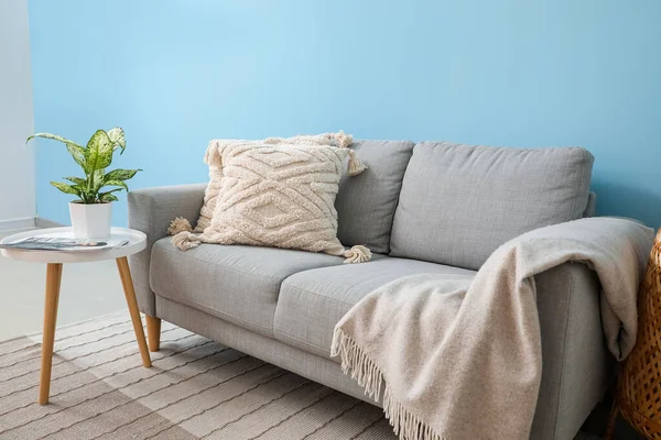 蓝色墙边桌子上有靠垫和室内盆栽的灰色沙发 — 图库照片