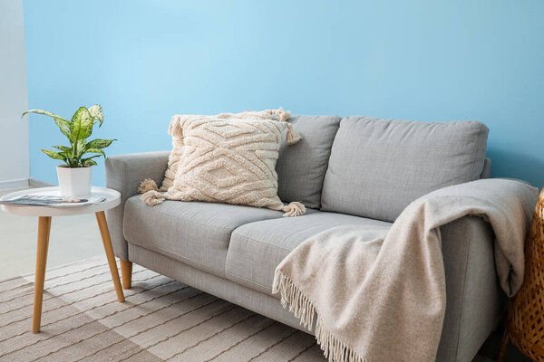 Grey sofa with cushions and houseplant on table near blue wall
