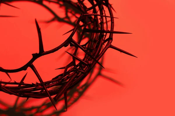 Crown Thorns Red Background Closeup — Stock Photo, Image