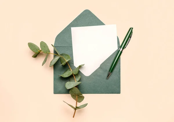 Envelope Blank Card Pen Eucalyptus Branch Color Background — Stock Photo, Image