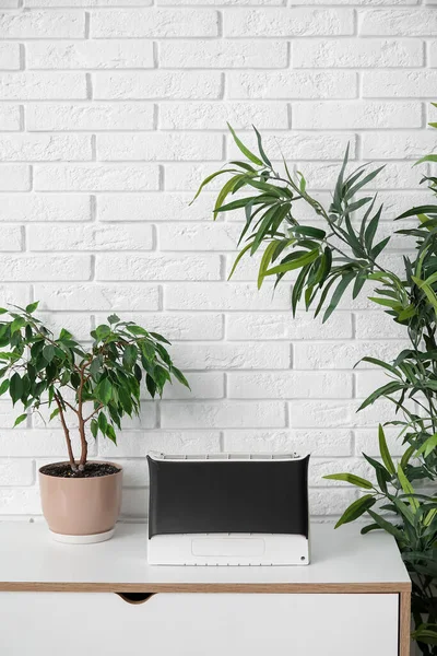 Oczyszczacz Powietrza Rośliny Domowe Komodzie Pobliżu Ściany Białej Cegły — Zdjęcie stockowe