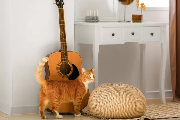Cute red cat near guitar in living room