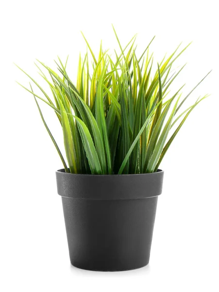 Artificial Grass Pot White Background — Stock Photo, Image