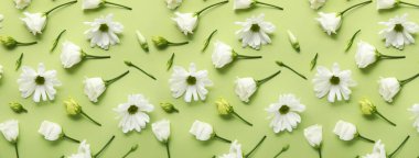 Yeşil arka planda birçok güzel bahar çiçekleri