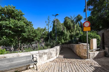 Yeşil ağaçlı ve sokak lambasıyla güzel bir park manzarası