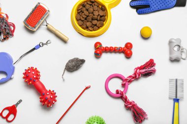 Hafif arka planda hayvan bakım aksesuarları, oyuncaklar ve kuru yiyecekler.